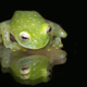 Image for article titled This Scientific Paper Proves That Nature Never Stops Weirding Us Out